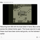 Illustration for article titled Lets play Pokemon Blue, Miiverse style part 3